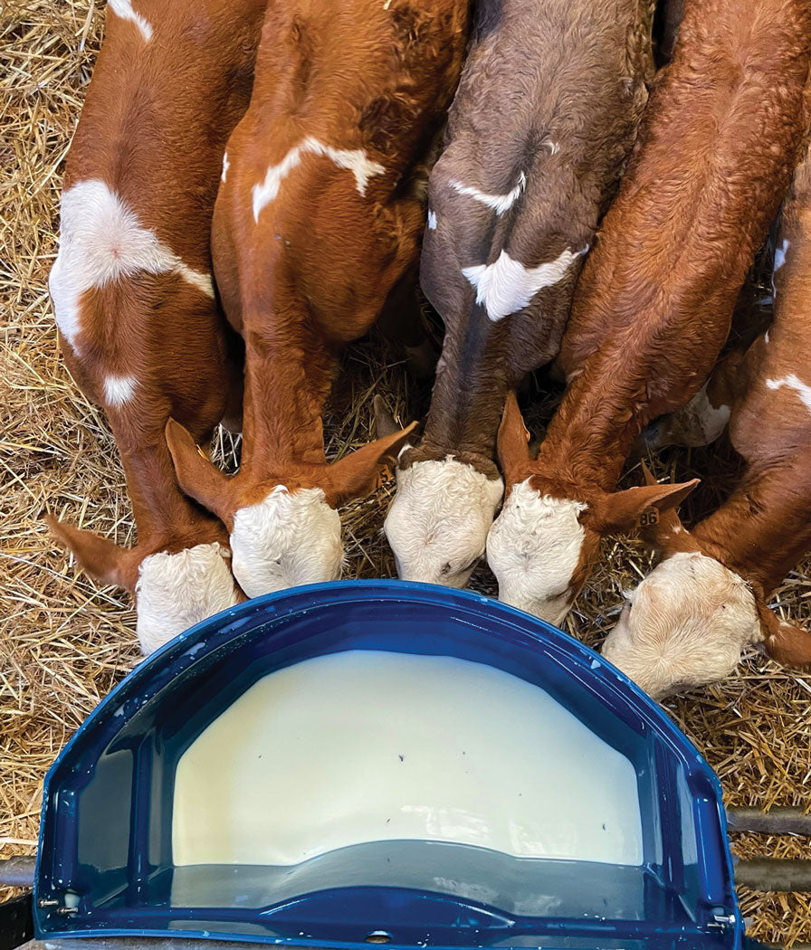 Milk Bar™ Products