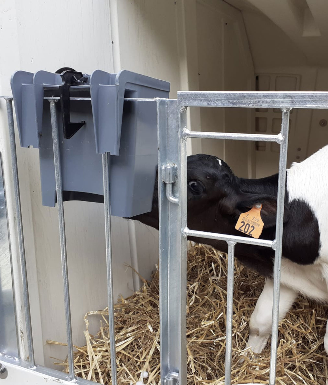 MB_1TeatFeederInUse_FlexHutch