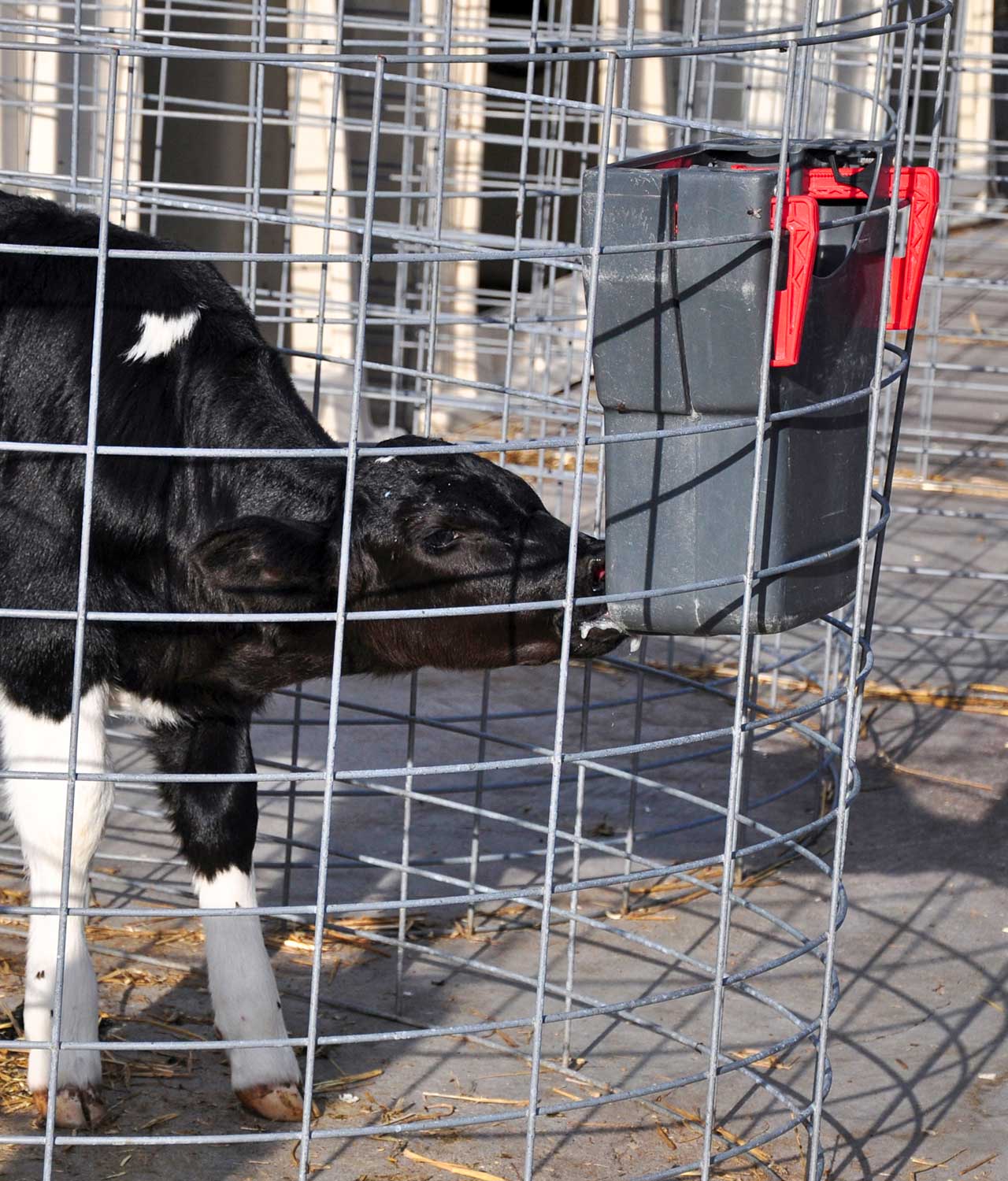 AGRI-MB-8L---ISP_InUse